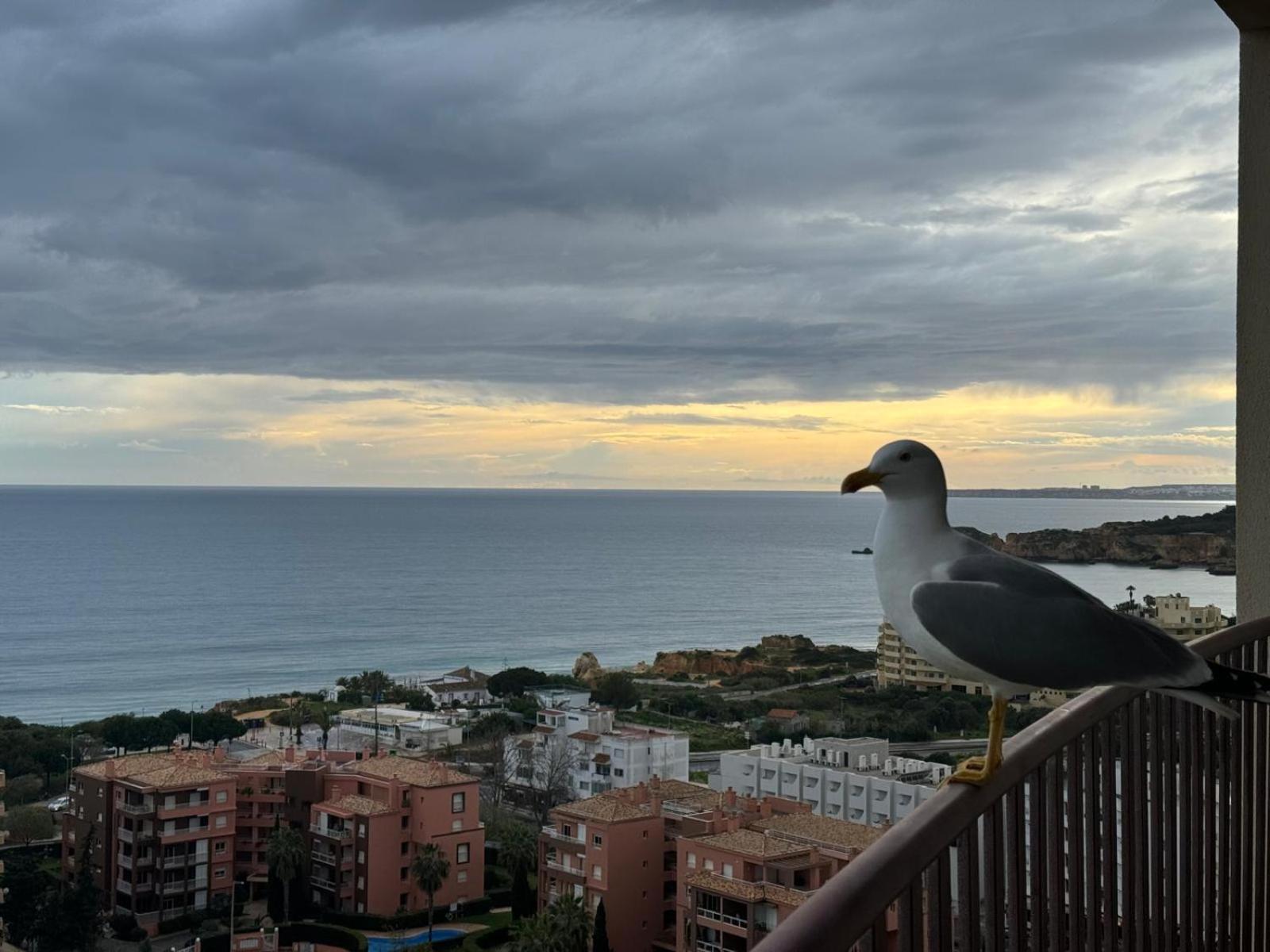 Sofiamarholidays - Casa Praia Mar Portimão Exteriér fotografie